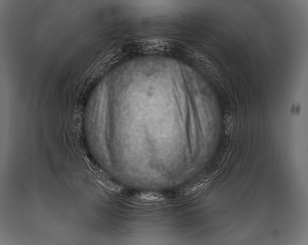 X0000088860753200706291517