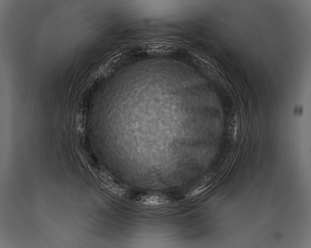 X0000088860755200706291517