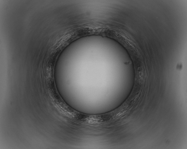 X0000088860756200706291517
