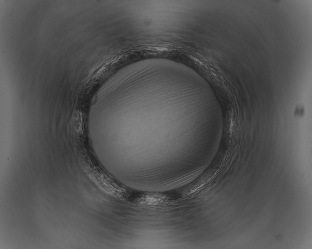 X0000088860758200706291517