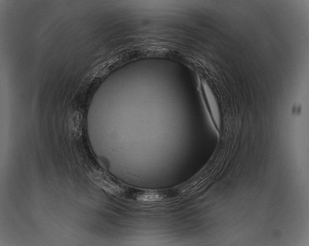 X0000088860759200706291517