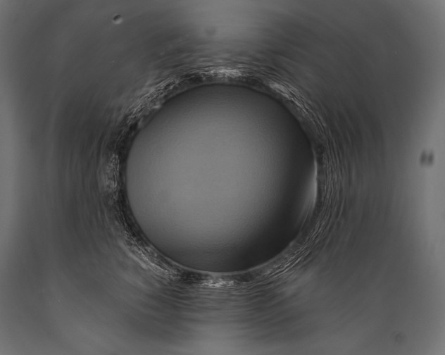 X0000088860760200706291517