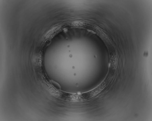 X0000088860762200706291517