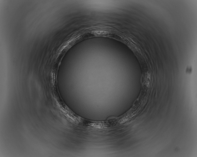 X0000088860763200706291517