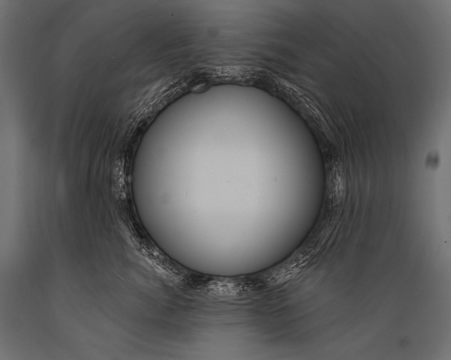 X0000088860764200706291517