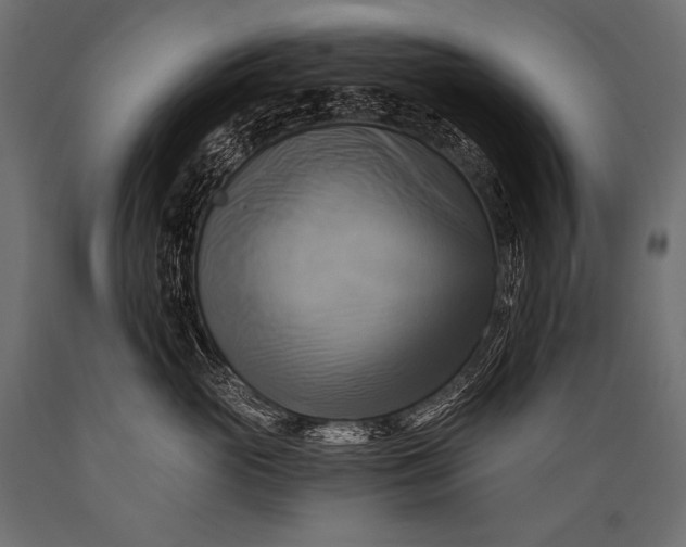 X0000088860765200706291517
