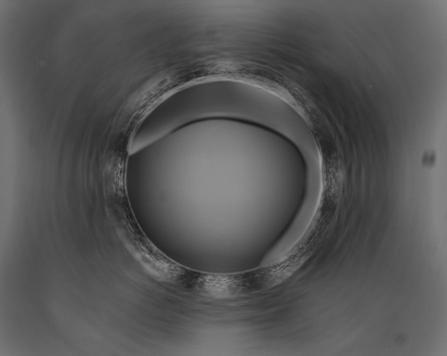 X0000088860766200706291517