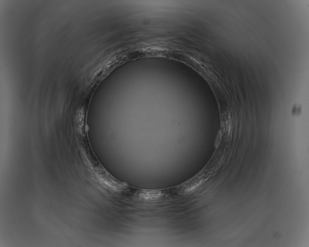 X0000088860767200706291517
