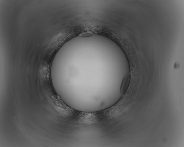 X0000088860768200706291518