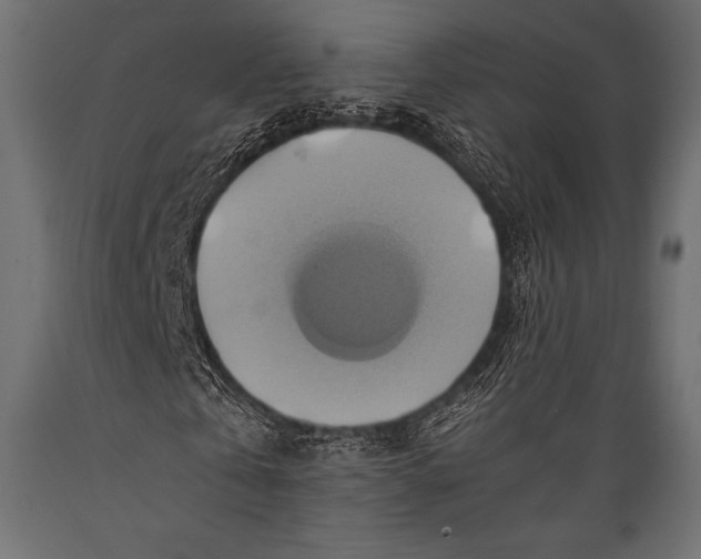 X0000088860769200706291517