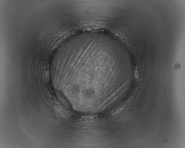 X0000088860771200706291517