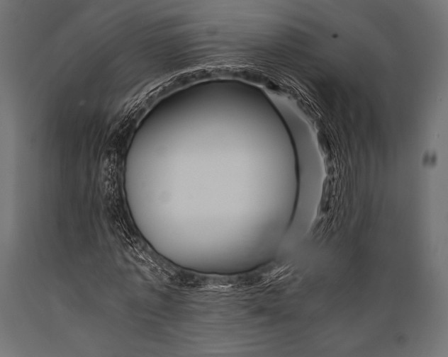 X0000088860773200706291517