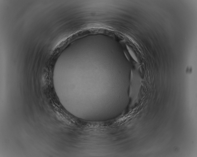 X0000088860775200706291517