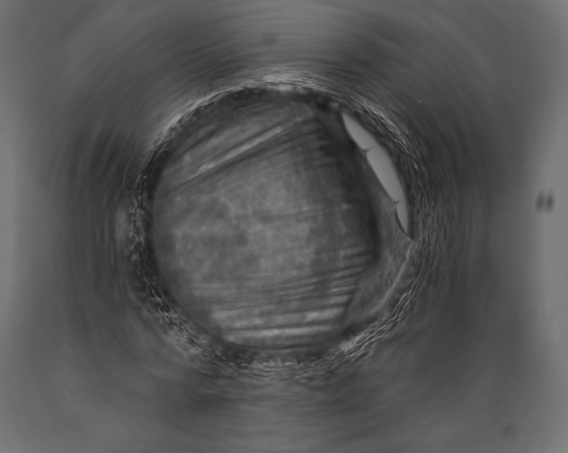 X0000088860776200706291517