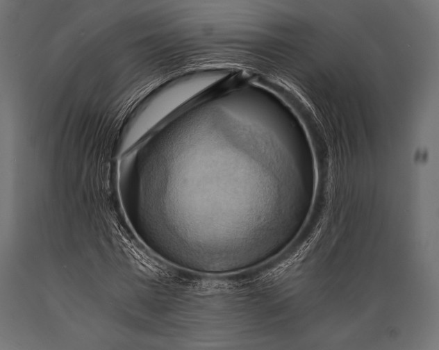 X0000088860777200706291517