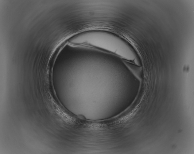 X0000088860779200706291517