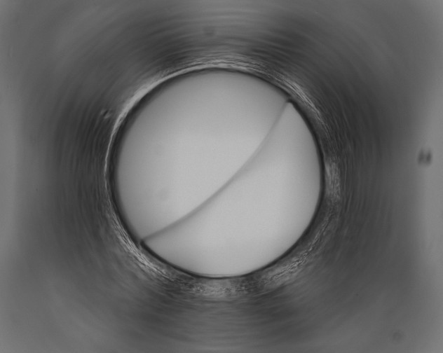 X0000088860780200706291517