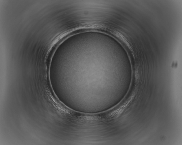 X0000088860781200706291517