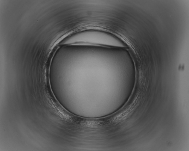 X0000088860782200706291517