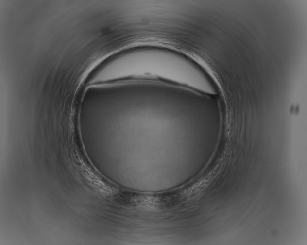 X0000088860783200706291517