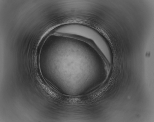 X0000088860784200706291517