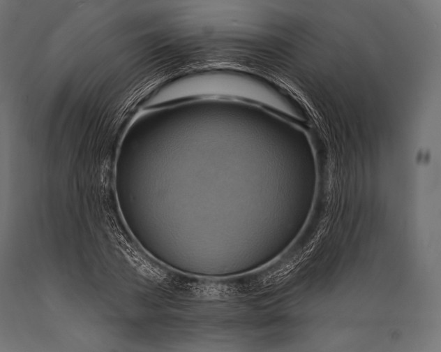 X0000088860785200706291517