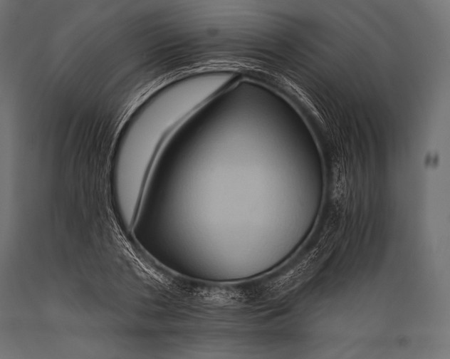X0000088860786200706291517