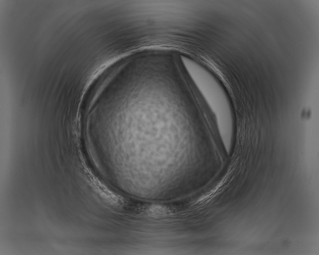 X0000088860787200706291517