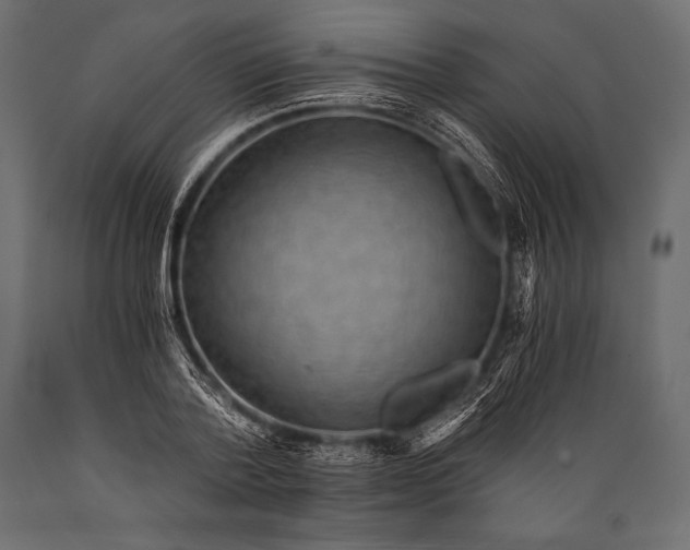 X0000088860788200706291517