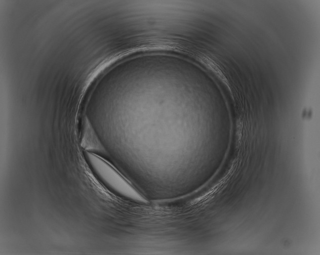 X0000088860789200706291517