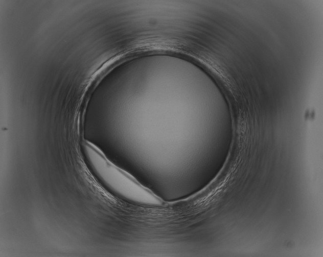 X0000088860790200706291517