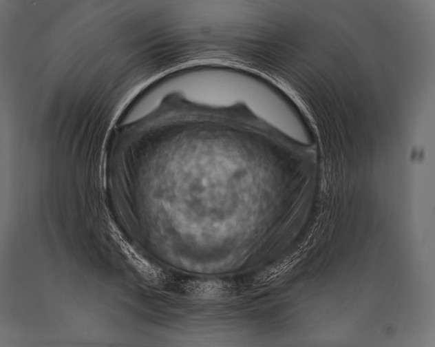 X0000088860791200706291517