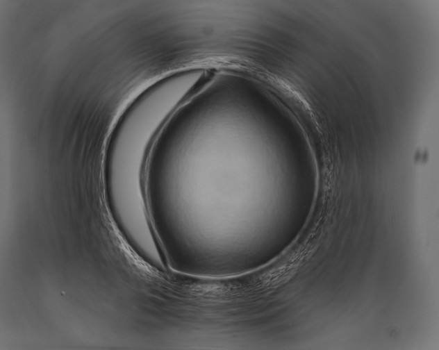 X0000088860792200706291517