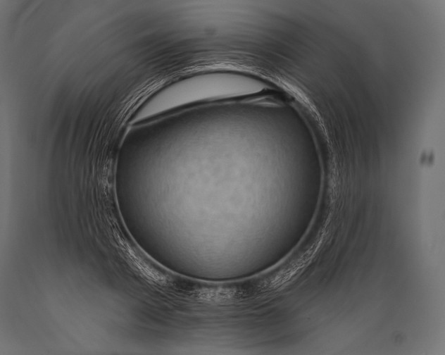 X0000088860793200706291516