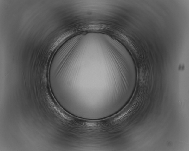 X0000088860794200706291516