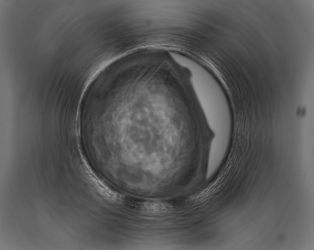 X0000088860795200706291516