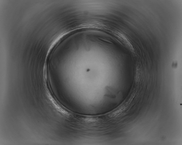 X0000088860796200706291516