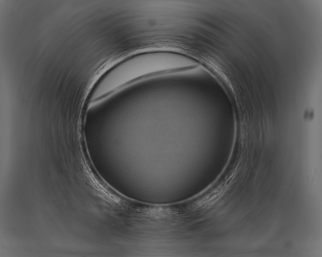 X0000088860797200706291516