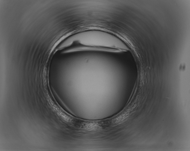 X0000088860798200706291516