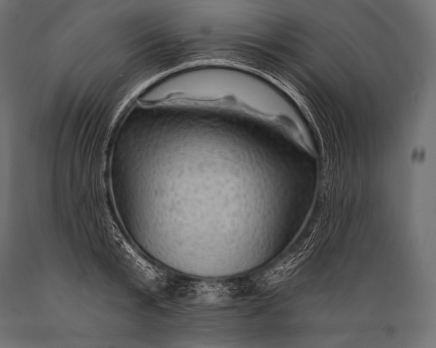 X0000088860799200706291516