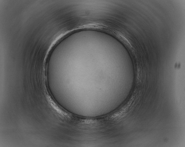 X0000088860800200706291516