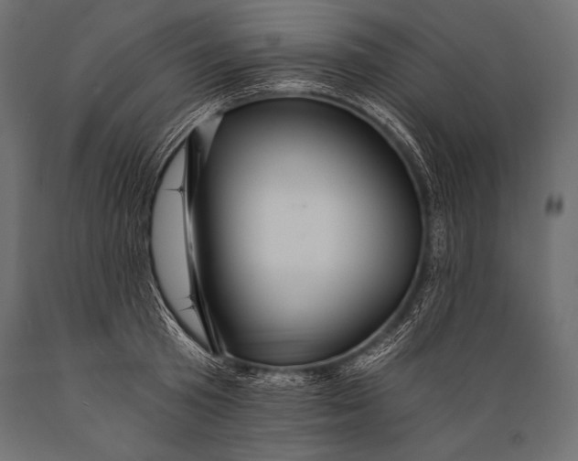 X0000088860801200706291516