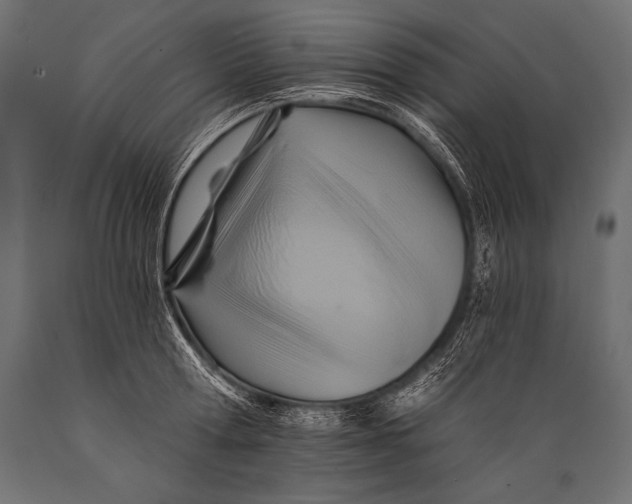 X0000088860802200706291516