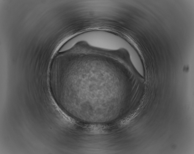 X0000088860803200706291516