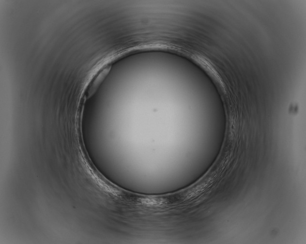 X0000088860805200706291516