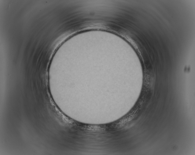 X0000088860807200706291516