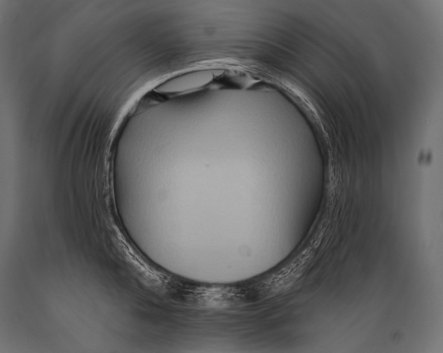 X0000088860808200706291516