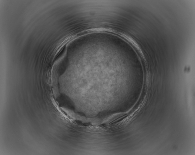 X0000088860809200706291516