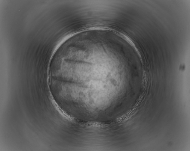 X0000088860811200706291516