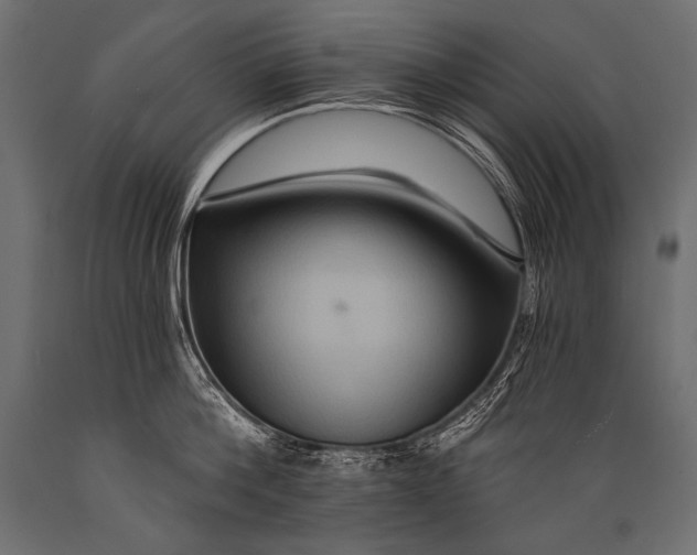 X0000088860812200706291516